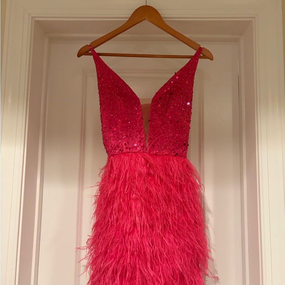 Hot Pink Sequin & Feather Party Dress